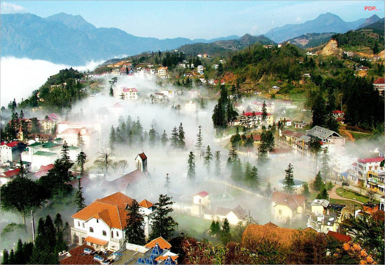 Sapa
