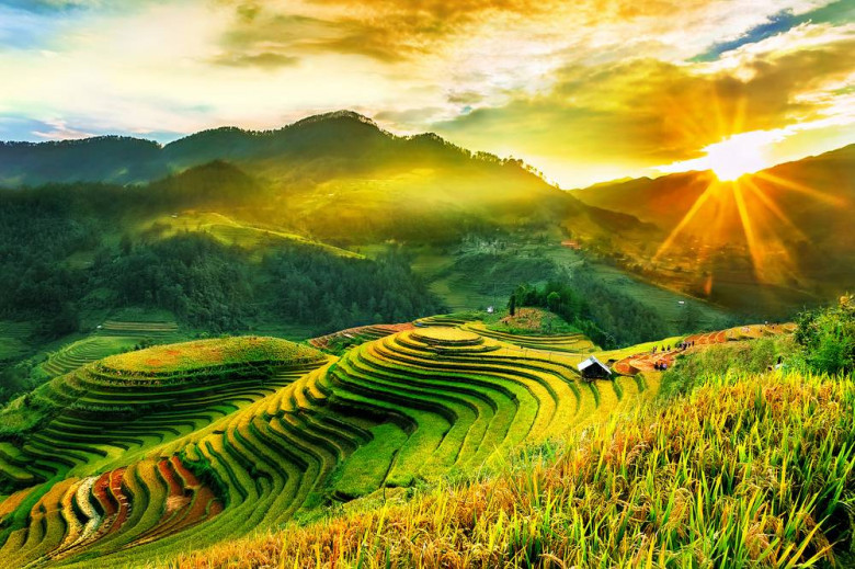 Sapa