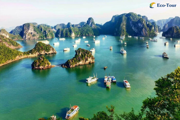 Dịch vụ du lịch