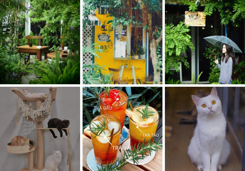 KUMO CHAN COFFEE AND GARDEN