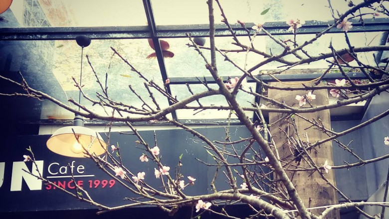 Cafe Sun