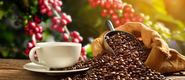 25 Coffee Tây đằng
