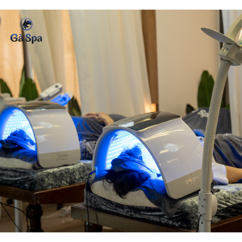 Gà Spa - Quận 10, Hồ Chí Minh
