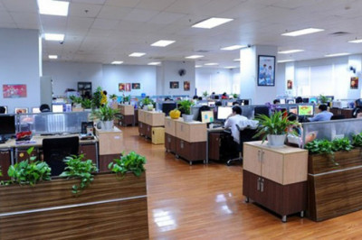 Top 5 loại cây thích hợp cho văn phòng làm việc