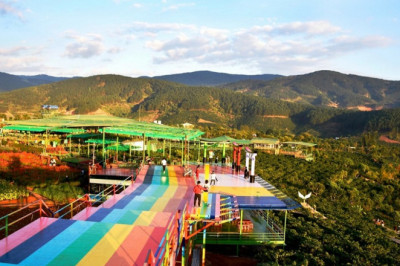 Top 10 Quán Cafe view đẹp, không gian yên bình Đà Lạt